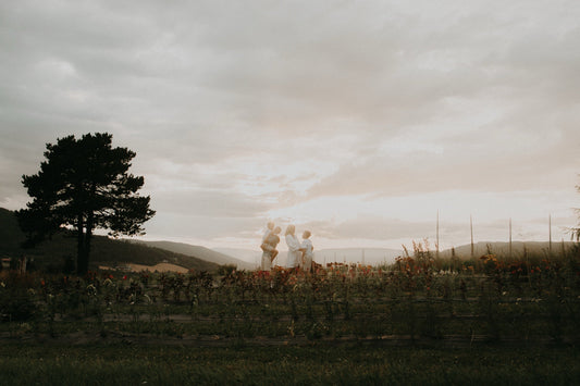 Ramberg Gård 2025 / Minifotografering